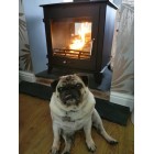 Defra Approved Ecosy+ 12-14kw  Double Sided Woodburning Stoves Multi Fuel  5 Year Guarantee -